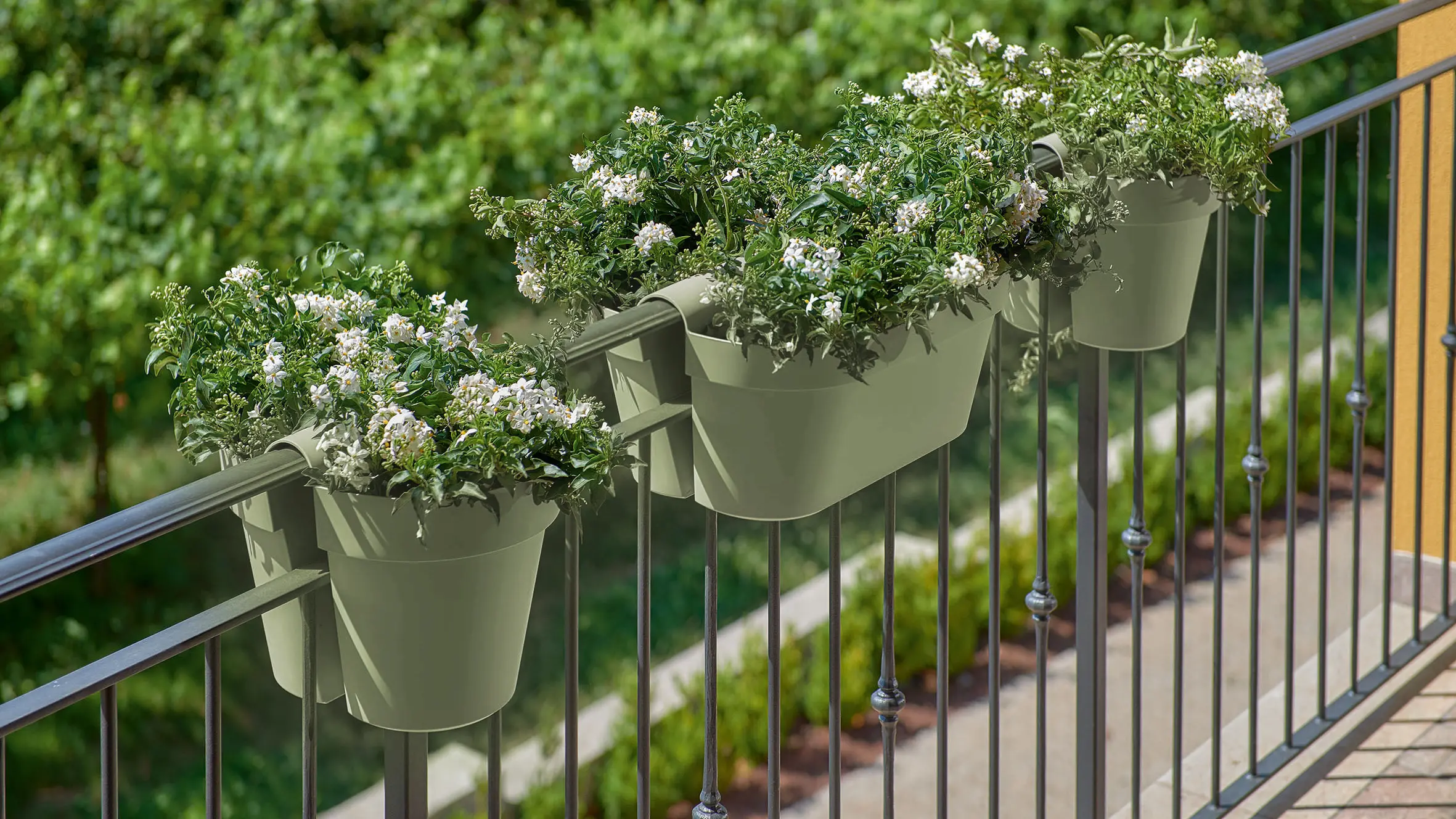 Balkon Blumenkästen